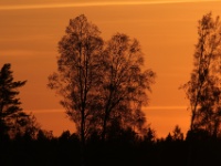 2016-05-08 21h17m02 - Avondrood - Jan van Kleef